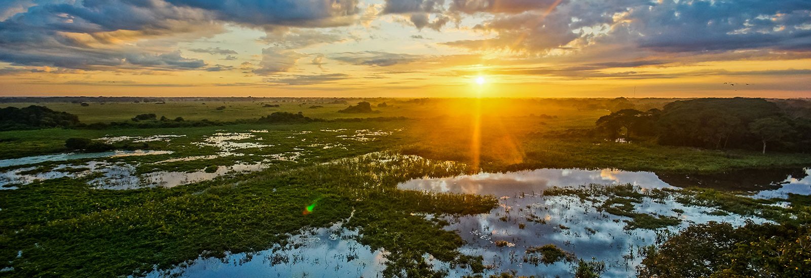 Pantanal &amp; Bonito Extension | Caiman Eco Lodge