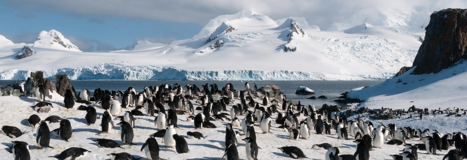 Spirit of Antarctica 12 days | Douglas Mawson