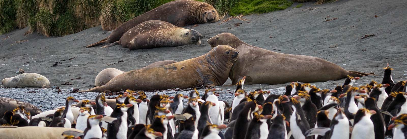 Ross Sea Expedition 2027 | Le Soleal