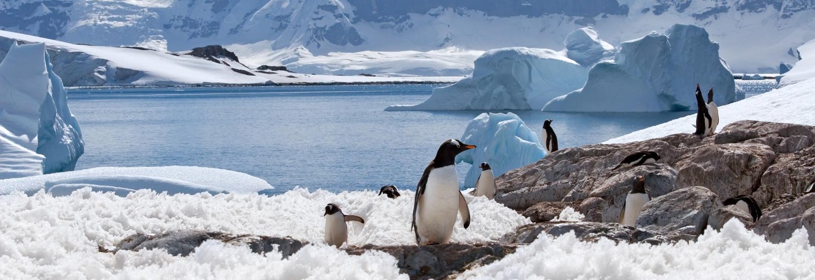 Weddell Sea Explorer | Plancius