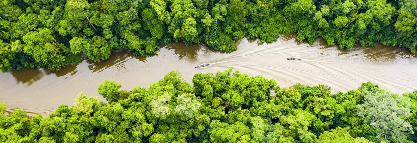 Peru Amazon Cruise 4 Days (Sun to Wed) | La Perla