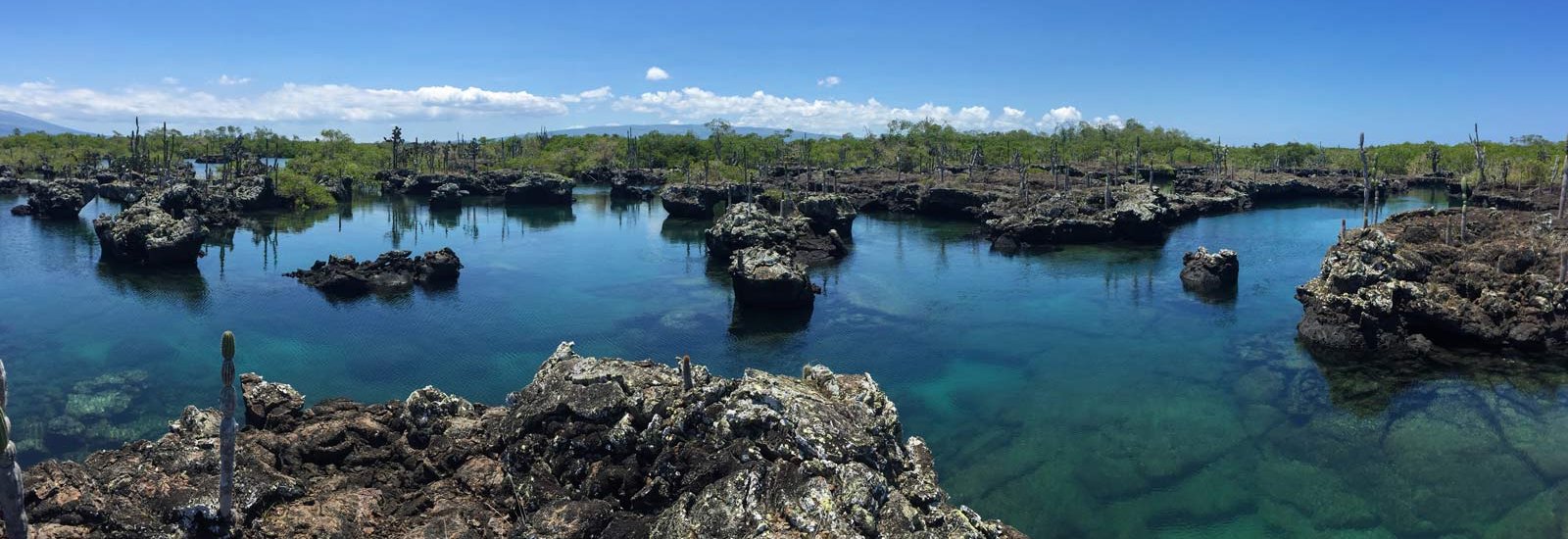 Galapagos Southern Islands Cruise | Elite
