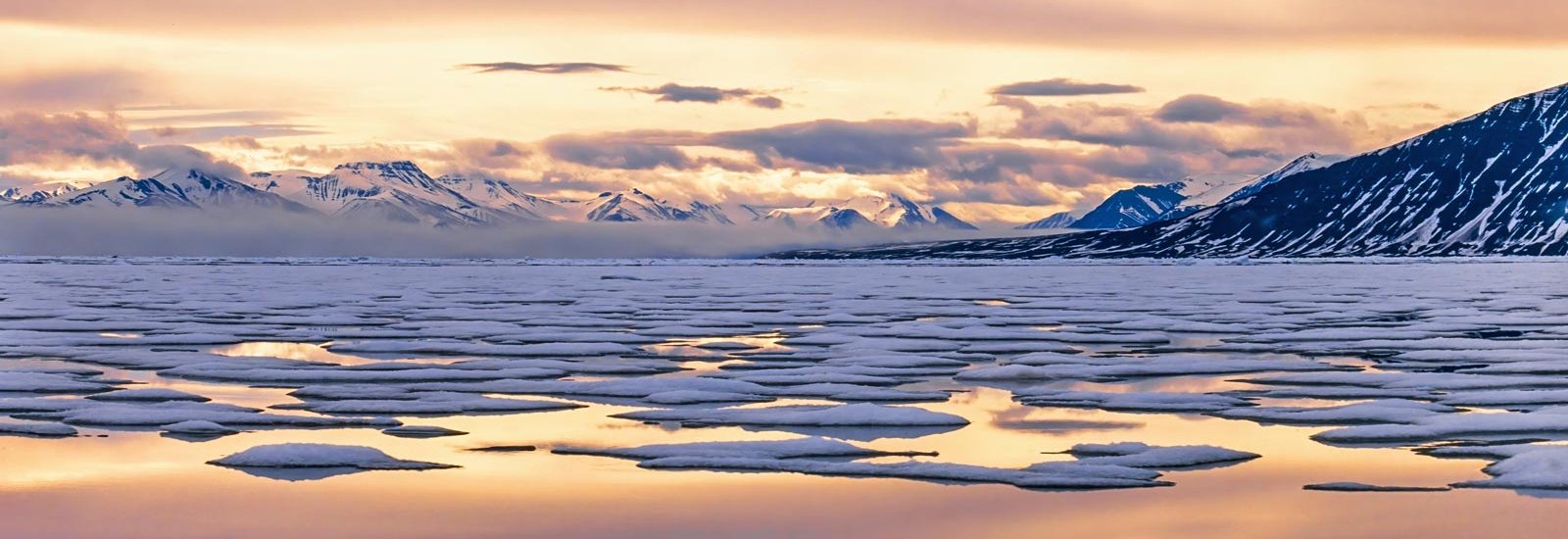 Iceland &amp; East Greenland: Through the Lens | Sylvia Earle