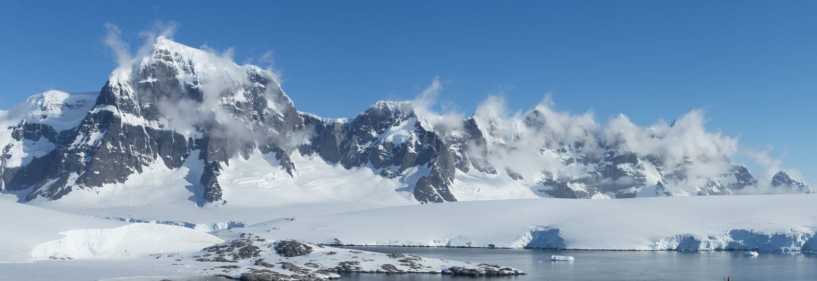Antarctica's Whale Season | Ocean Albatros