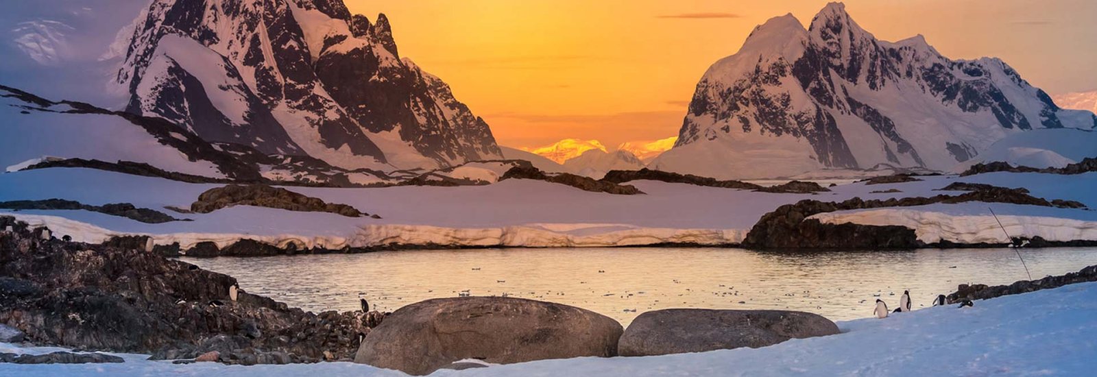 Antarctic Peninsula: An Explorer's Expedition | Ocean Albatros