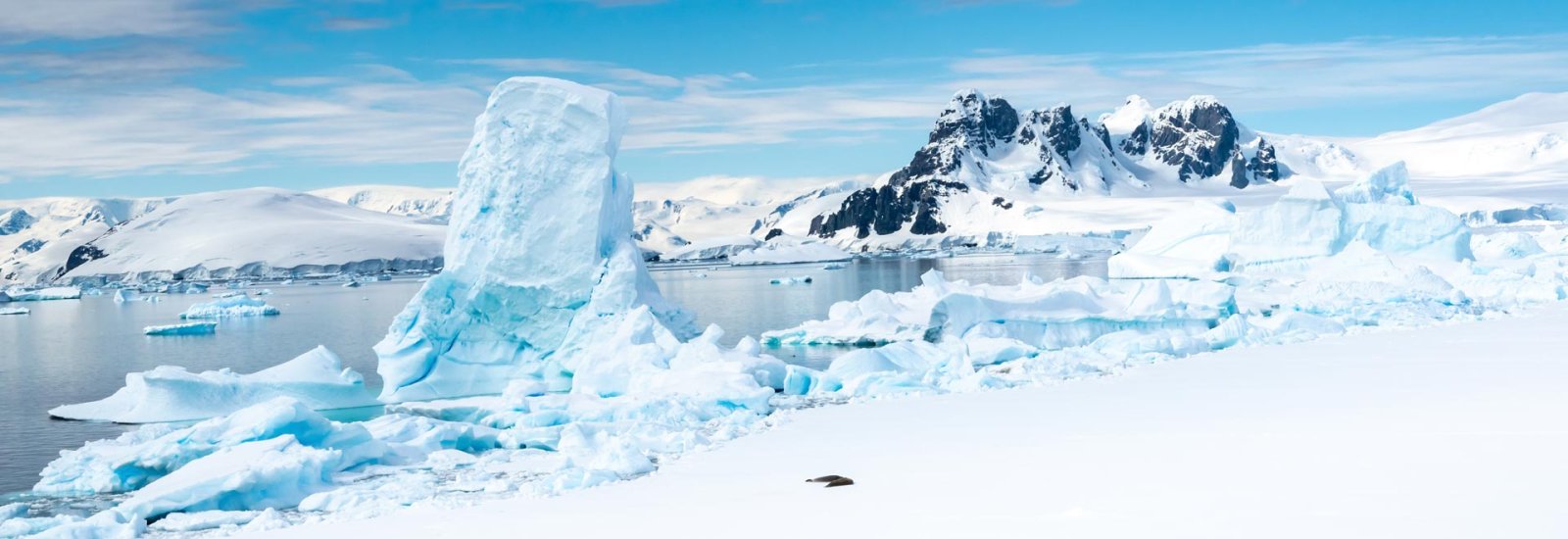 Antarctic Explorer: A Culinary Quest | Douglas Mawson