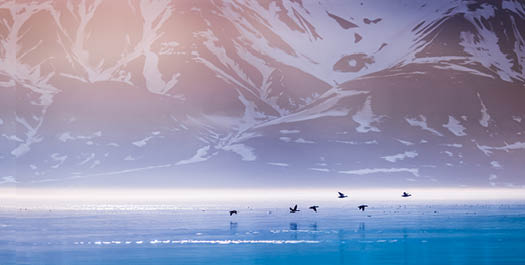 Spitsbergen - Days 2 to 10