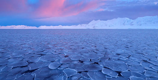 Great wonders of the Arctic world