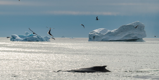 At Sea: Crossing the Davis Strait