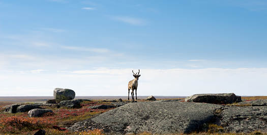 Kitikmeot Region - Day 2 to 5