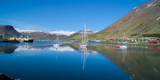 Isafjordur & Vigur Island
