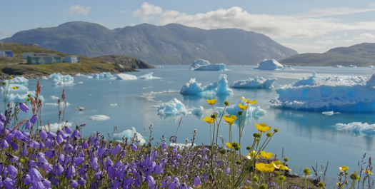 Narsarsuaq Region