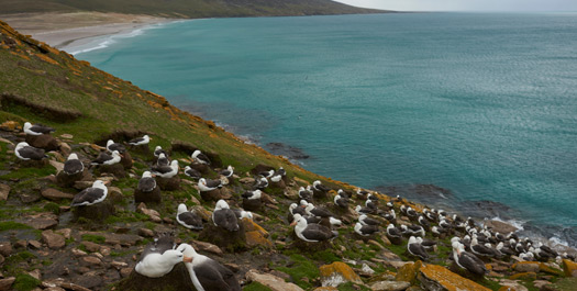West Falkland Islands