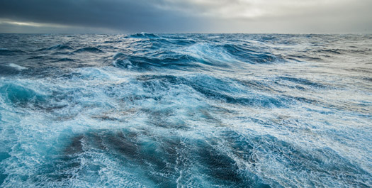 Crossing the Drake Passage - Day 10 & 11