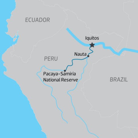 Delfin%20III%20Banner_0