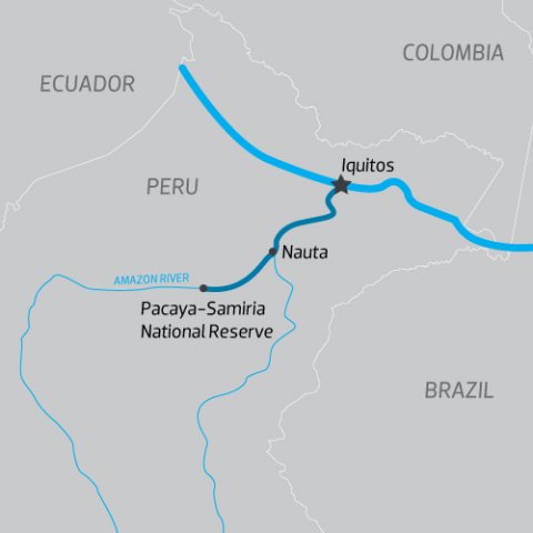 Delfin%20III%20Banner%202