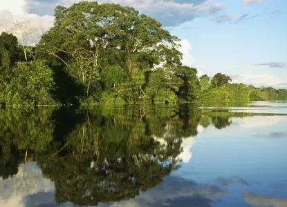 Amazon River cruise 