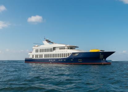 Origin, Theory & Evolve