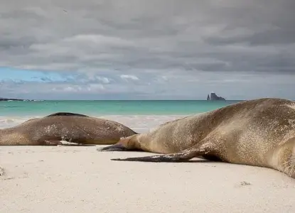 Chimu Adventures Signature South America 