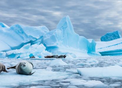 antarctic%20circle%20banner
