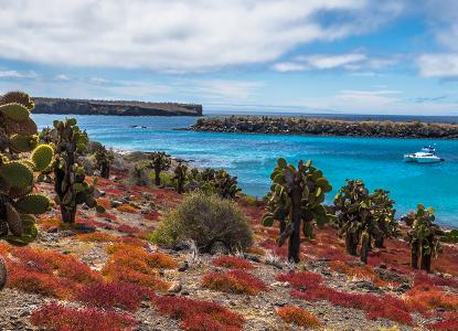 South Plaza Galapagos