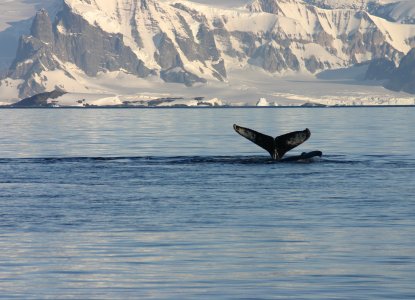 Describing Antarctica