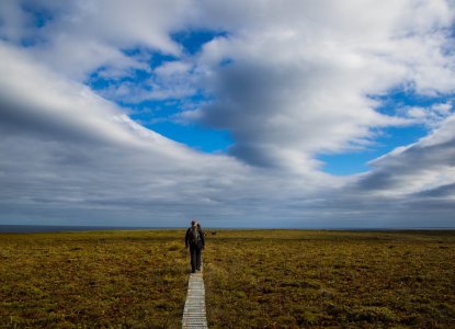 10 Must Visit Sub-Antarctic Islands 10 Must Visit Sub-Antarctic Islands
