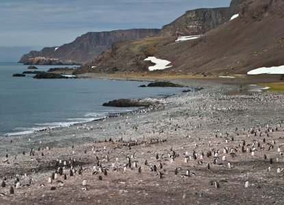 The History of Antarctica – A Story of Great Explorers
