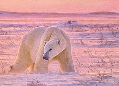 Arctic Animals – Meet the Wildlife of the North