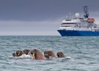 What (and How) to Pack for Your Arctic Cruise