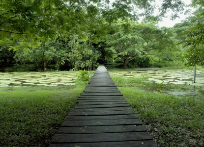 Packing Guide for the Amazon Packing Guide for the Amazon