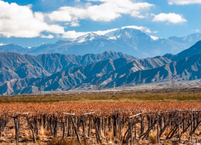 Things to do in the Mendoza Wine Region in Argentina