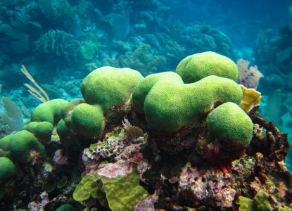 The Best Snorkel Spots in Nicaragua