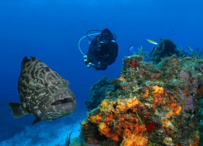 The Best Snorkel Spots in the Riviera Maya