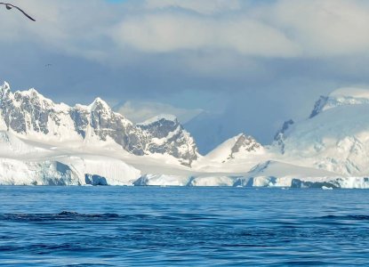 Whale fluke in icy Antarctic waters with snowy mountains in background