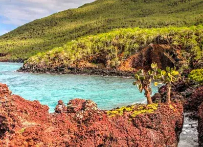 Galapagos Islands 