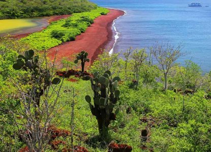 Rabida Coastline, Galapagos Islands