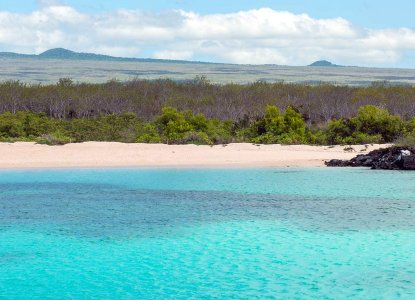 North Seymour, Galapagos Islands