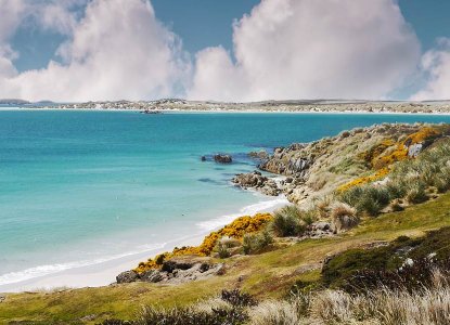 Sandy beach and grass tussock shoreline of the Falkland Islands with turquoise waters