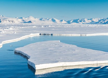 Spitsbergen Summer