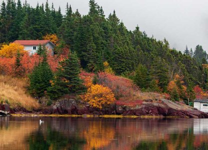 Autumn colours reflecting on Trinity Bay in Newfoundland and Labrador, Canada