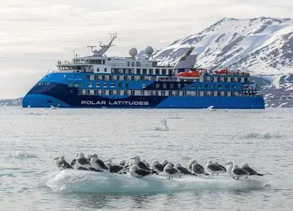   Ocean Albatros