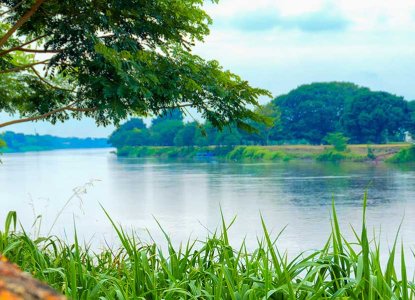 Magdalena river, Colombia