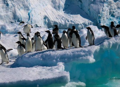 Penguins on ice in Antarctica