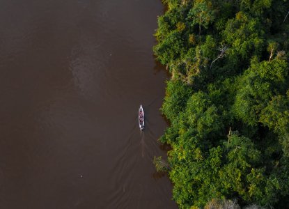Aerial view of the Amazon River, Peru