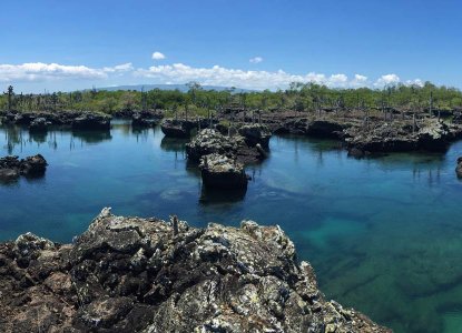 Isabela island's lava tunnels, Galapagos