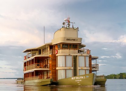 Delfin I 