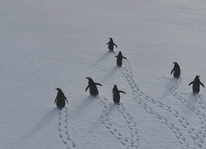 How to Prepare for an Antarctic Cruise