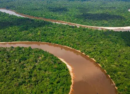 Aerial view of the Amazon Rainforest