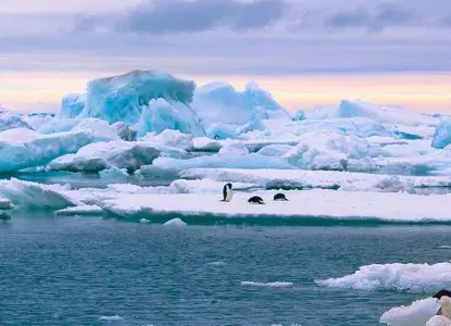 Antarctic Panorama